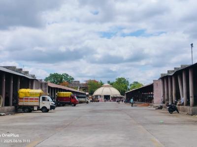 8 Auction Hall and Tin shade