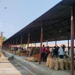 9_Tin_Shed_original