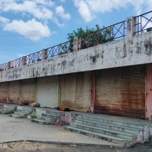 21_setakari_bajara_original